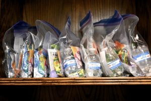 snack bags